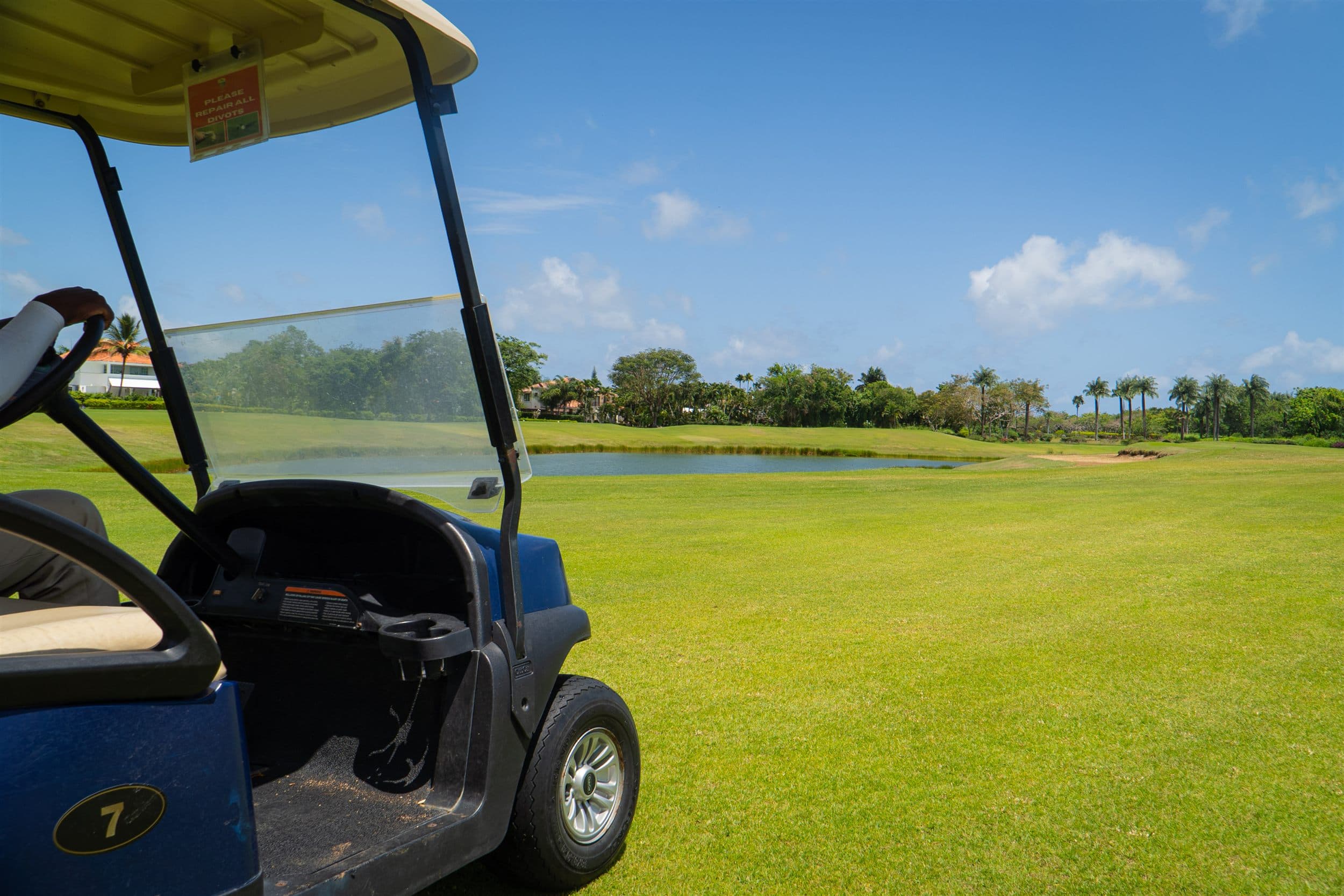Guavaberry Golf and Country Club