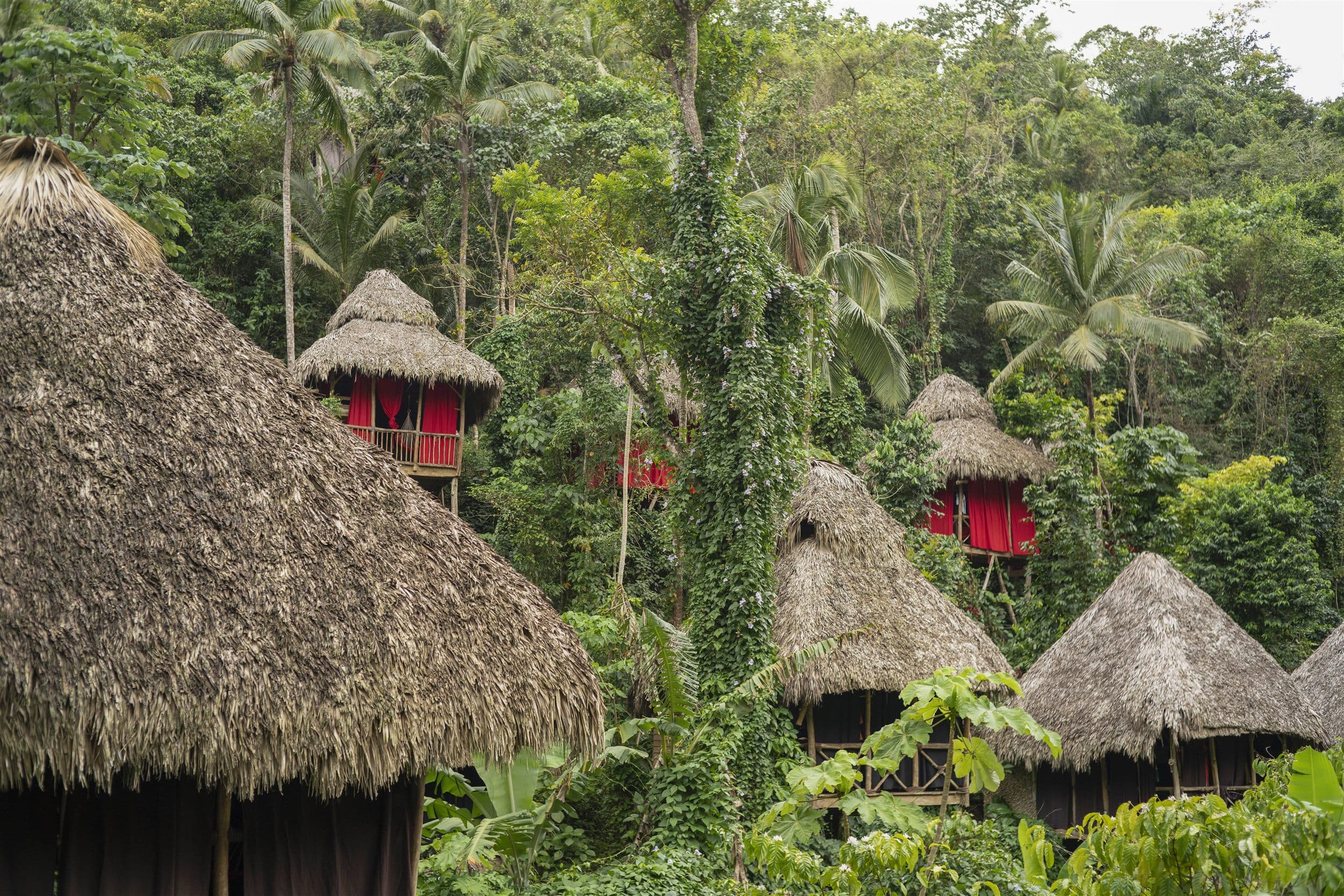 Dominican Treehouse Village