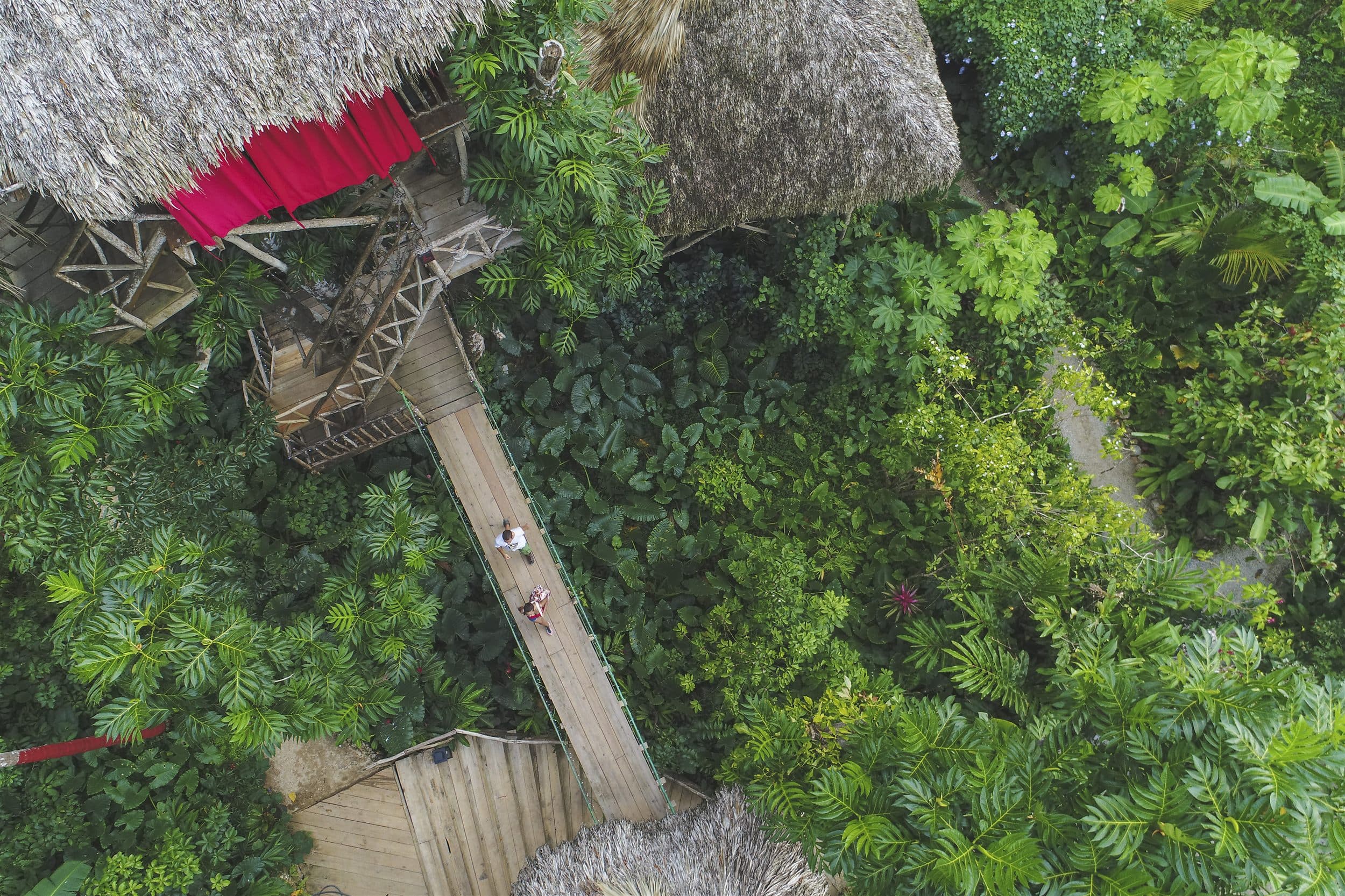 Dominican Tree House Village