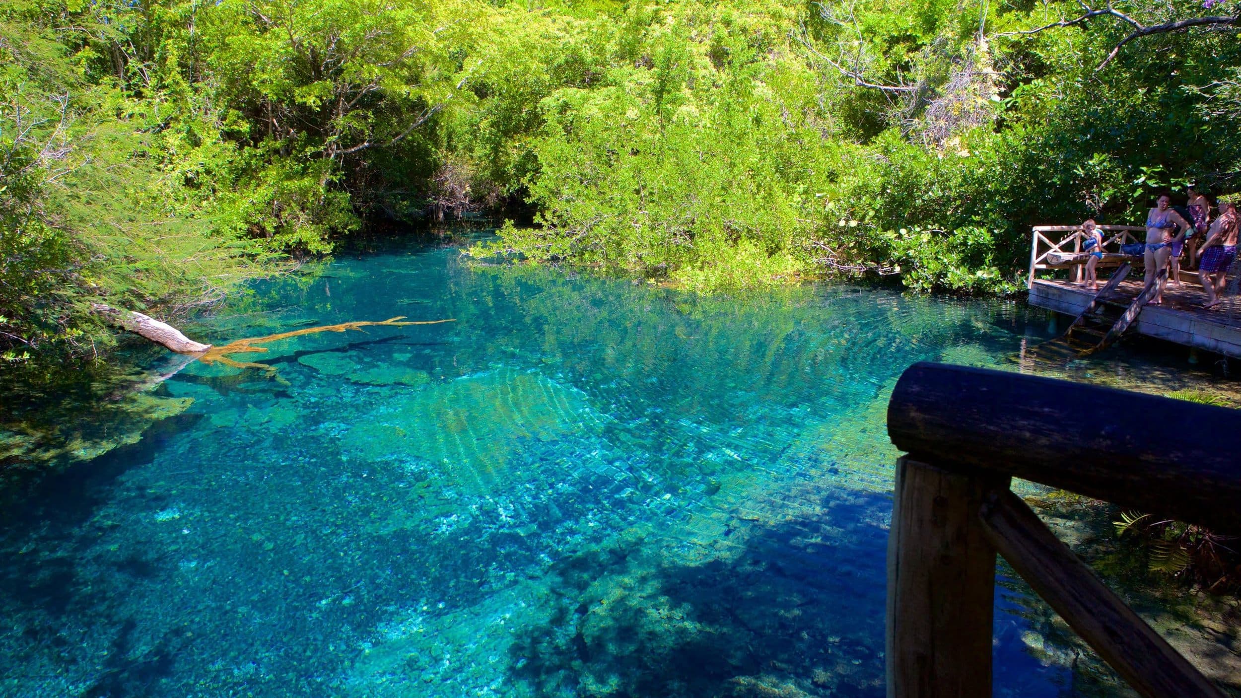 Parque ecológico Ojos Indígenas