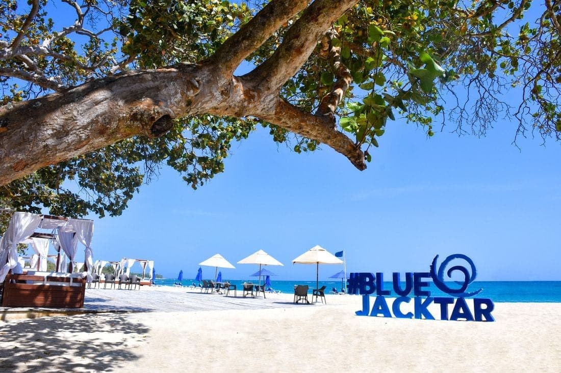 Blue JackTar
