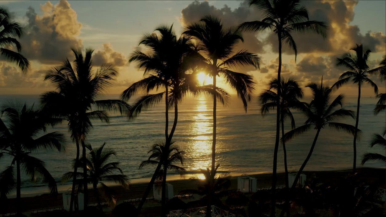 RD decorative image