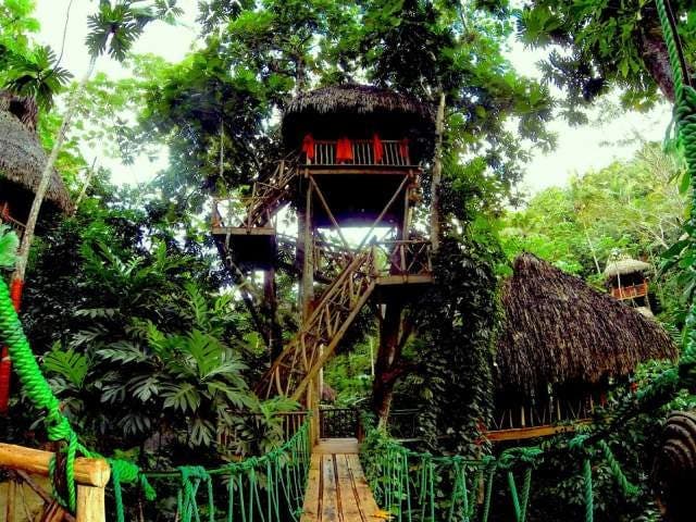 Dominican Tree House Village