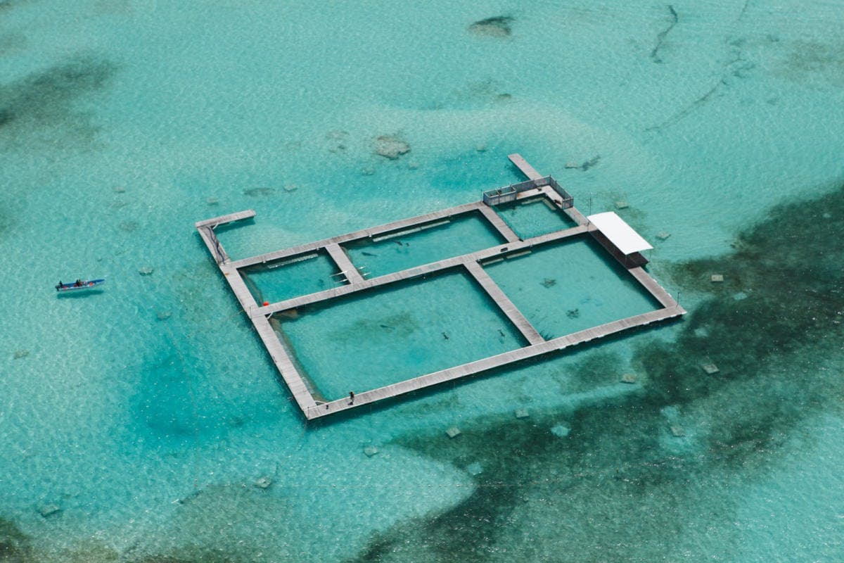 Dolphin Island Park