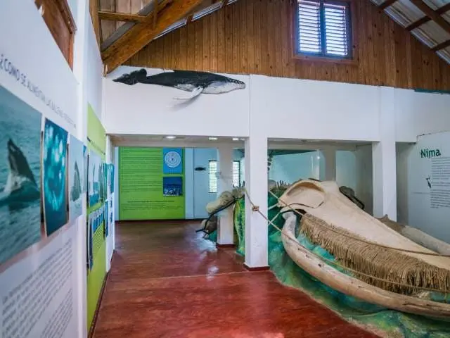 Museo de las Ballenas