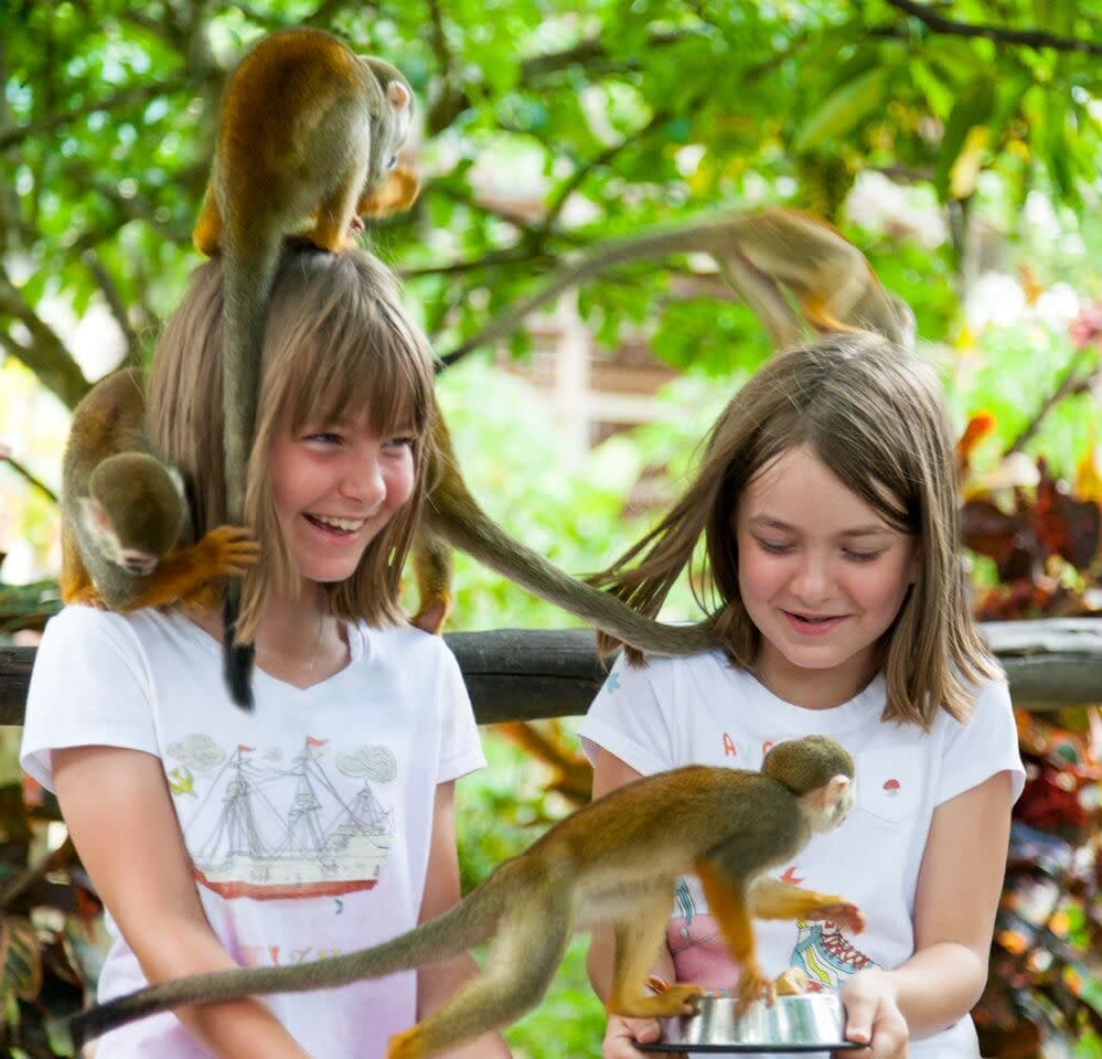 Monkeyland
