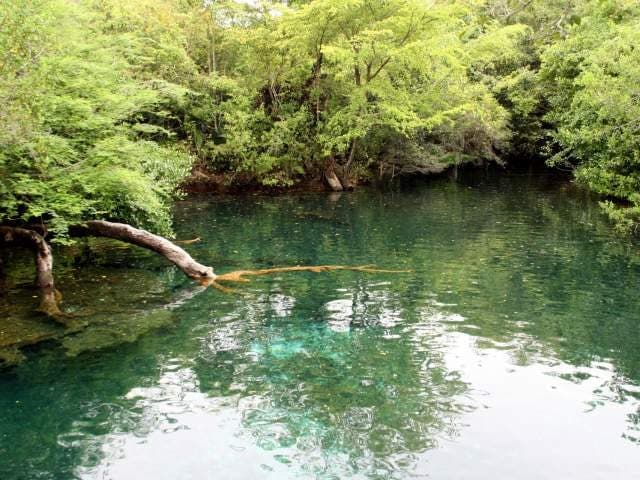 Parque ecológico Ojos Indígenas