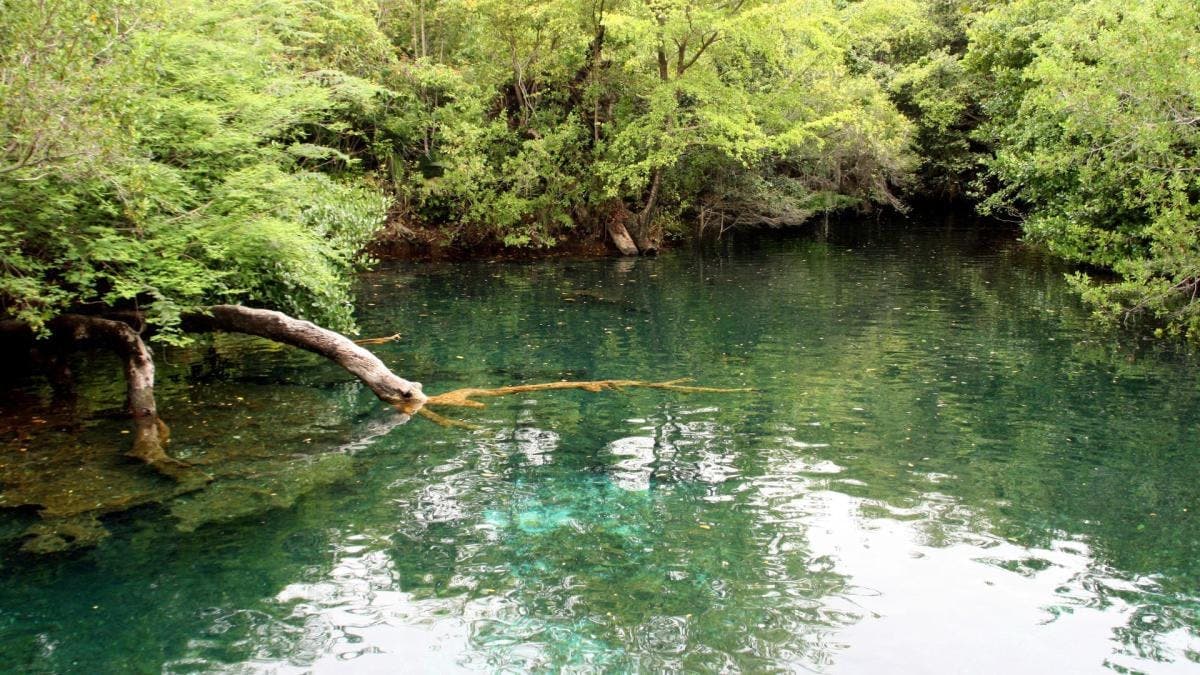 Parque ecológico Ojos Indígenas