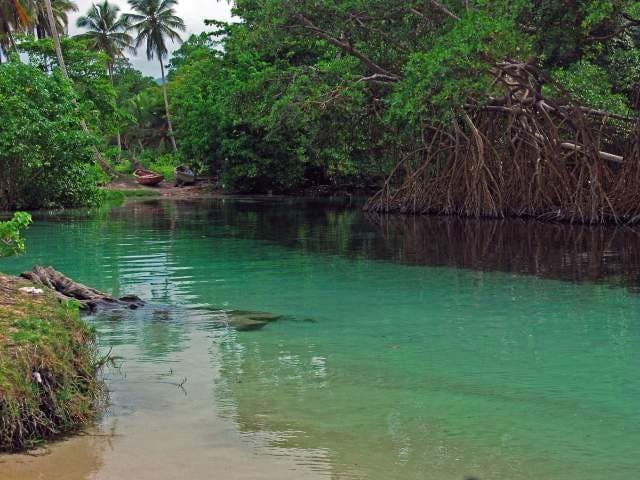 Río Caño Frío