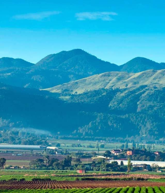 Constanza