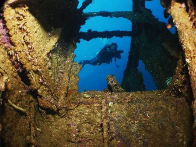 Diving in Boca Chica