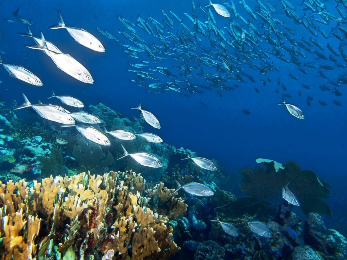 Montecristi Underwater National Park