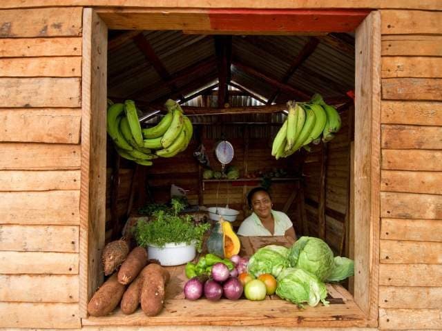 Gastronomy in Barahona