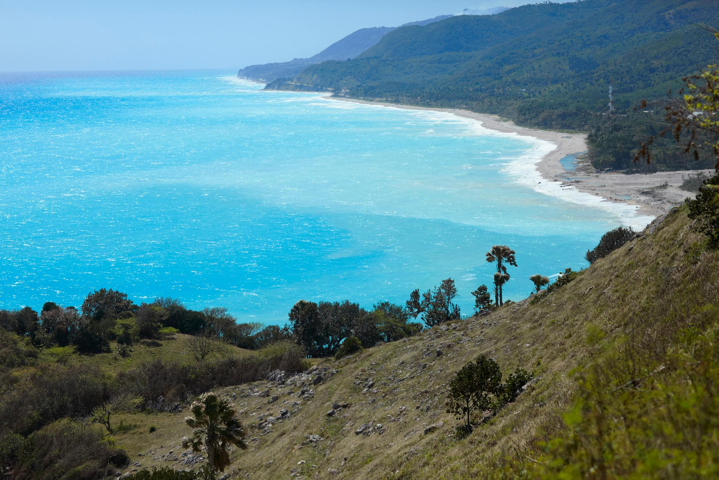 Barahona