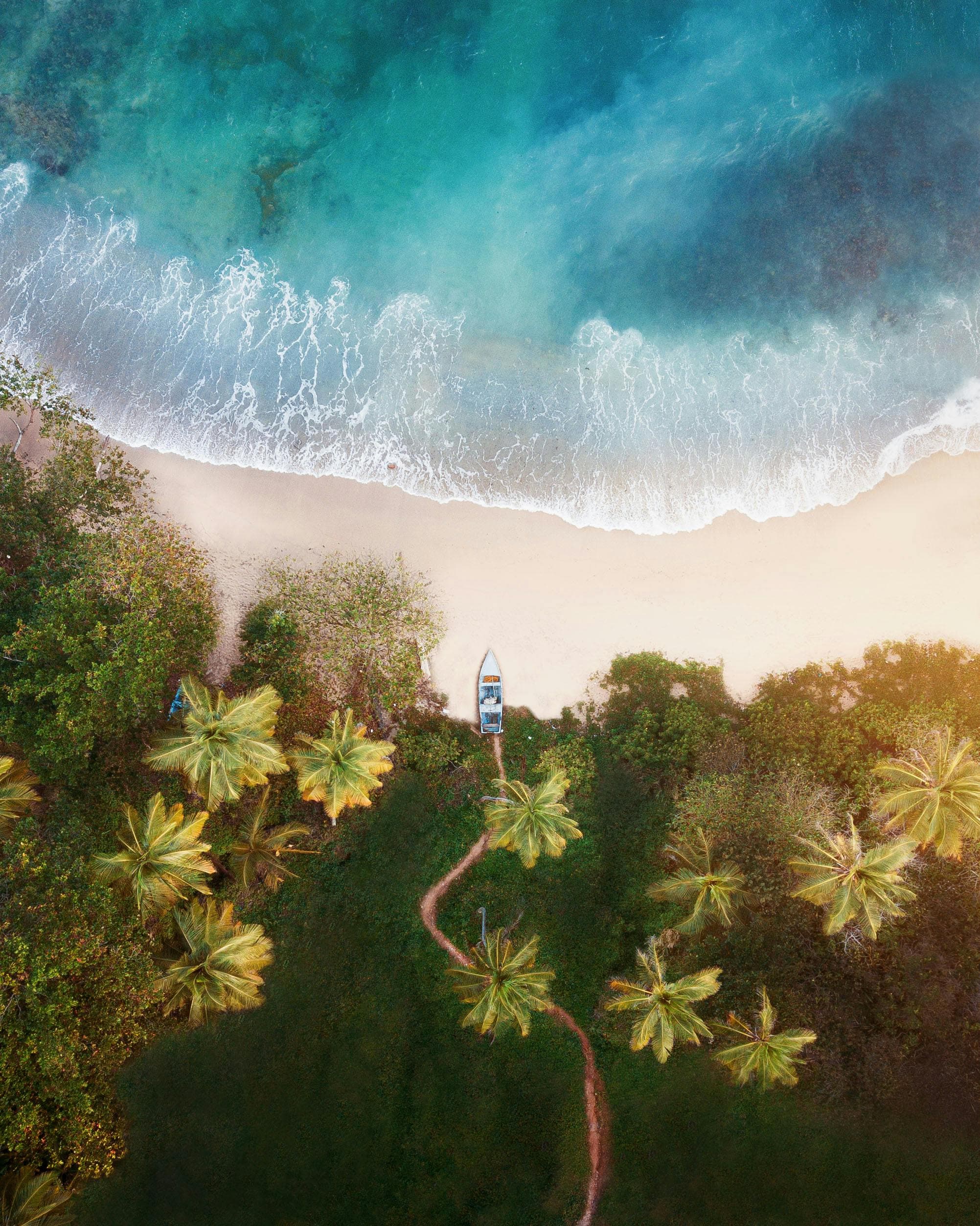 Playa Tim Philippus