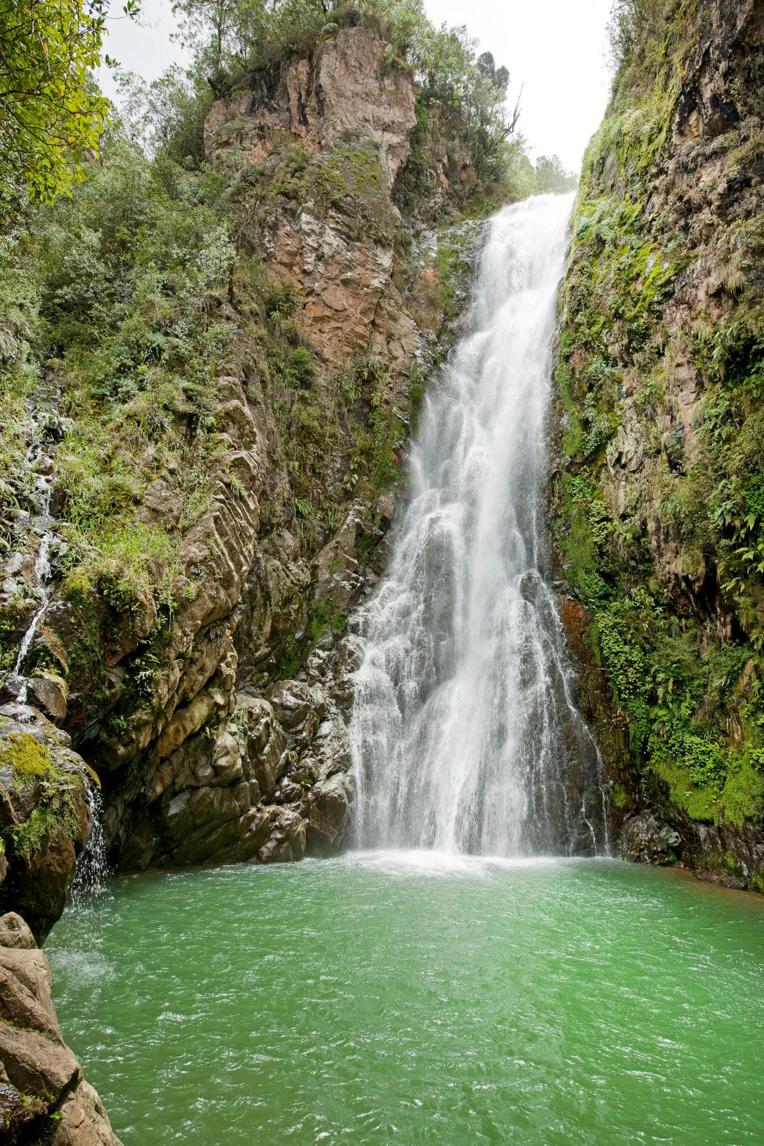 Constanza