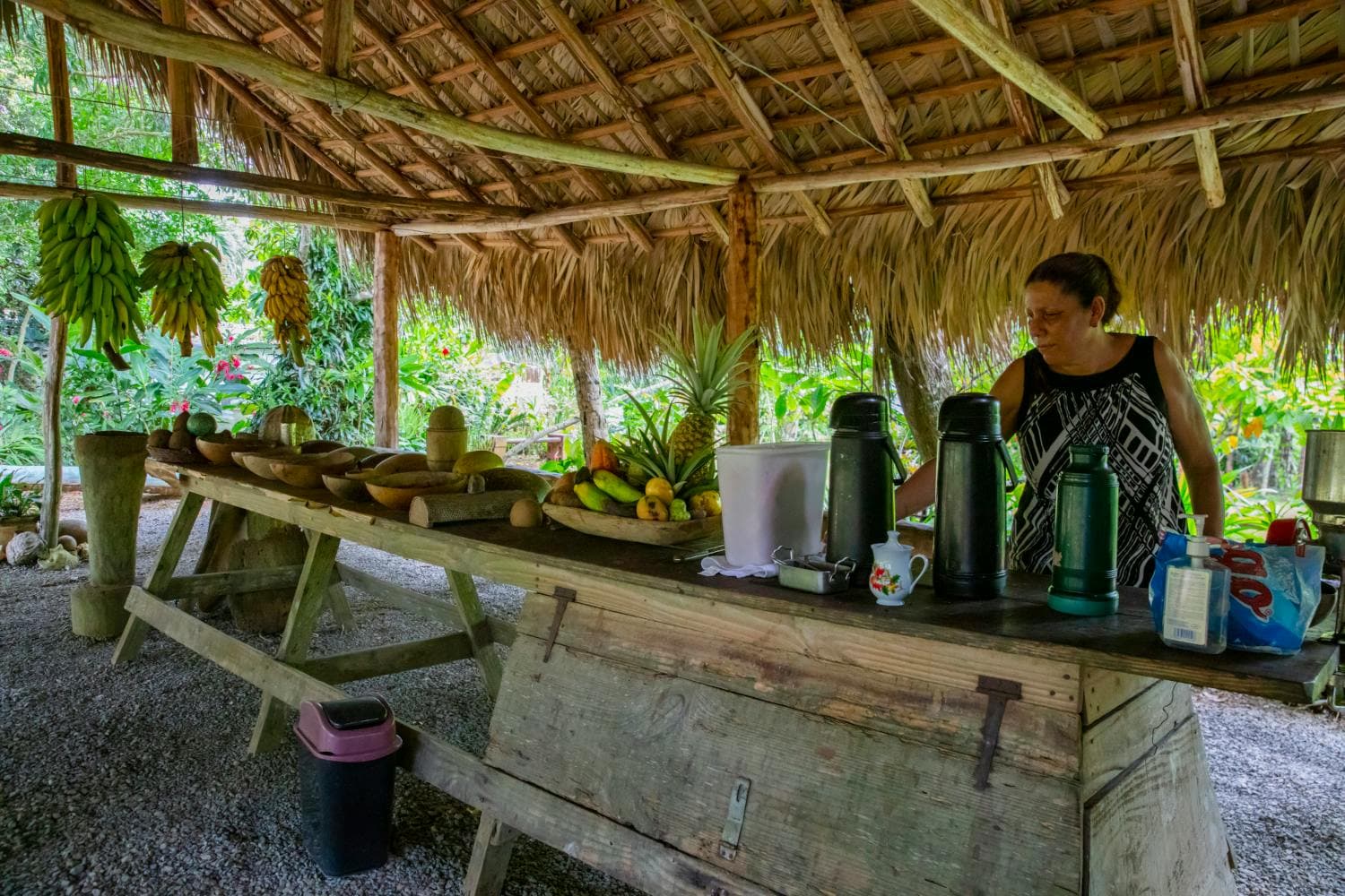 Doña Ana’s Conuco Traditional House