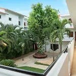 Hotel Silvestre