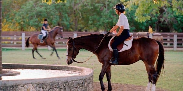Sea Horse Ranch