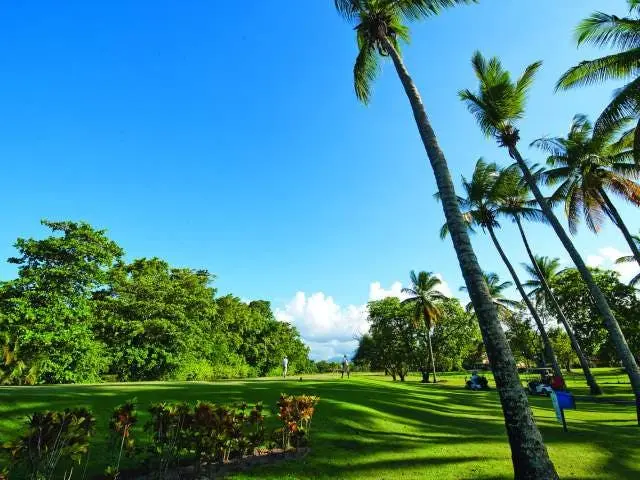 Playa Dorada Golf Course