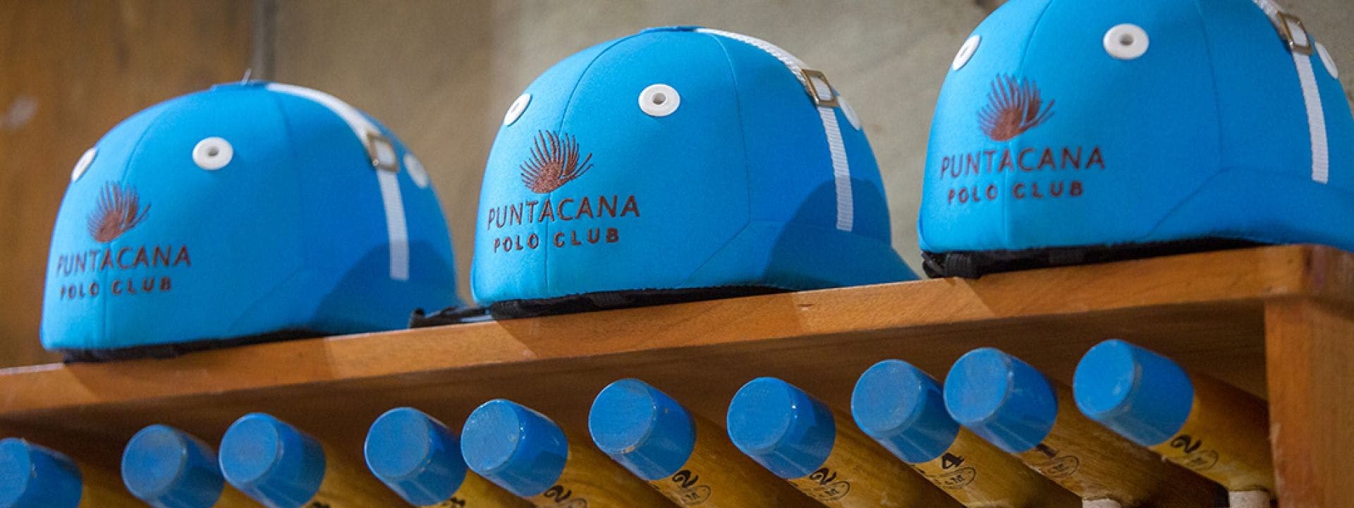 Puntacana Polo Club