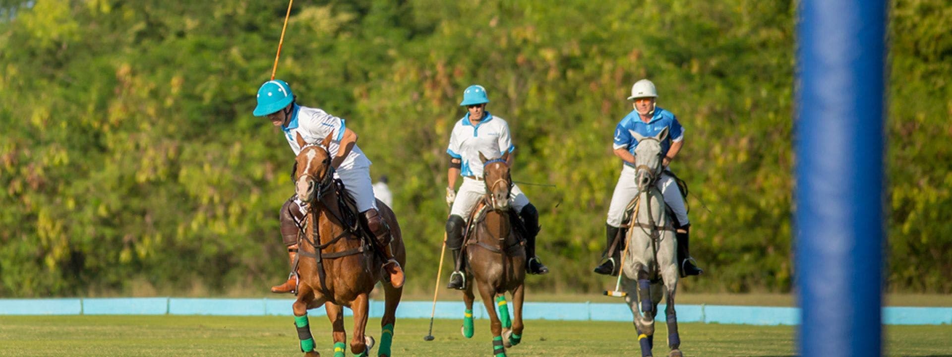 Puntacana Polo Club