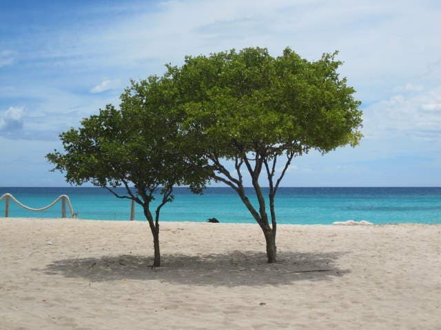 Pedernales